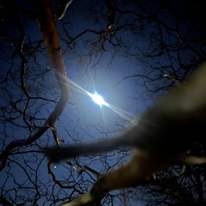 DIRTY LUNGZ artist photo