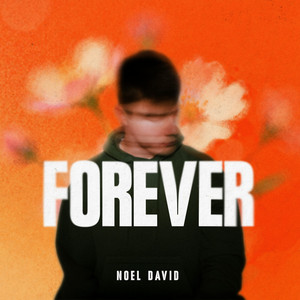 Forever by Noel David