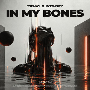 In My Bones by Tsenay, Int3nsity
