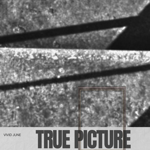 True Picture by Vivid June