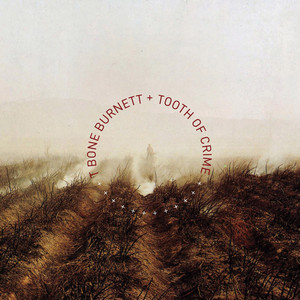 Kill Zone by T Bone Burnett