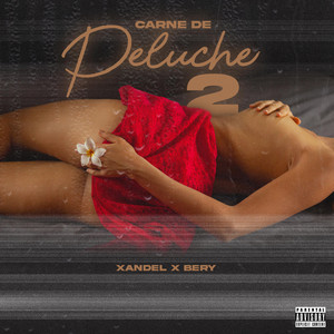 Carne de peluche 2 by XandelxBery