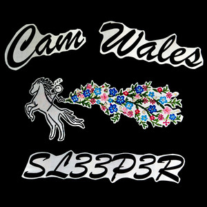 100 by Cam Wales