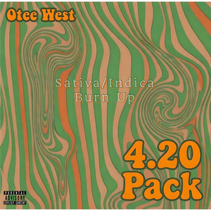 Burn Up by Otee West