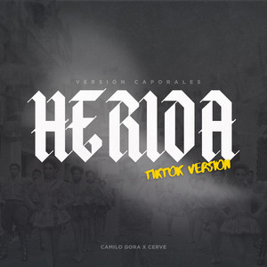 Camilo Gora & Vieich - Herida - TikTok Versión (Vianca y Enrique)