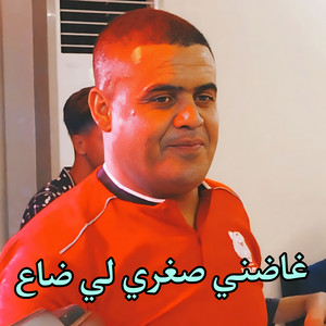 Cheikh Chayeb - غاضني صغري لي ضاع