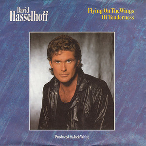David Hasselhoff - Flying on the Wings of Tenderness (Radio Version)