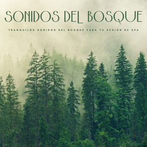 Sonidos Del Bosque: Tranquilos Sonidos Del Bosque Para Tu Sesión De Spa album