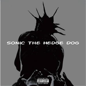 Sonic The Hedge Hog by praymist, knivesysl