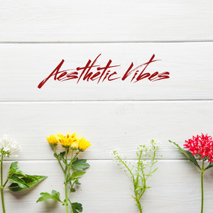 WIRA - Aesthetic Vibes