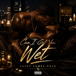 Can I Get You Wet by Saint James Noir