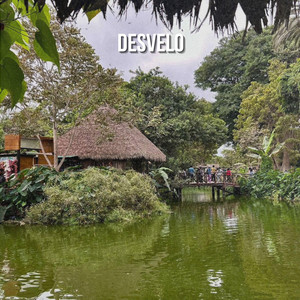 DESVELO by Nicolas Rey