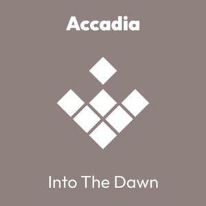 Into The Dawn