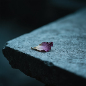 jamas me elegiste by Denied forty7