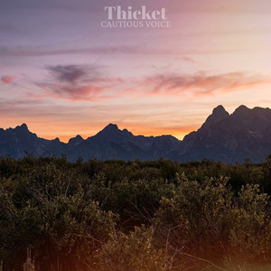 Thicket by Cautious Voice