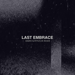 Last Embrace - Akero Remix by The Spoiled, Akero