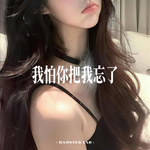 我怕你把我忘了 - NightClub Mix by DJ小仓鼠