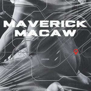Location by Maverick Macaw