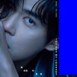 深情痞子周渝民 仔仔精選2001-2009 ‑「コンピレーション」by Vic Chou