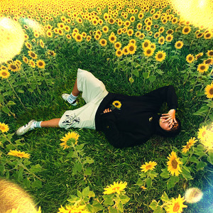 Aisack1ng - Santuario de Girasol