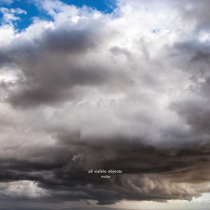 Too Much Change by Moby