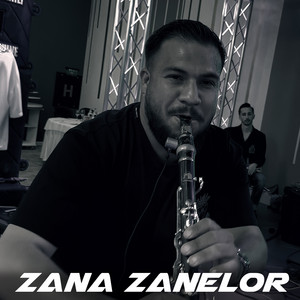 Sedan Video - Zana Zanelor
