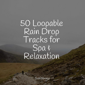 50 Loopable Rain Drop Tracks for Spa & Relaxation album