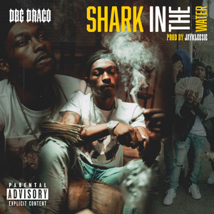 Shark in the Water