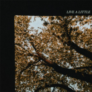 LIVE A LITTLE - Instrumental by Lux!
