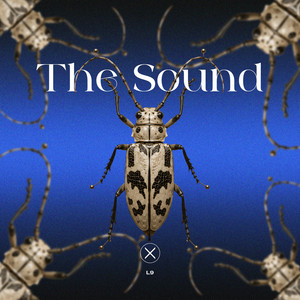 The Sound by L9