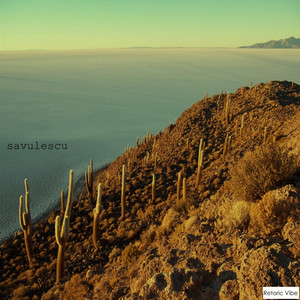 Savulescu cover