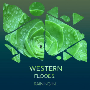 zZz Western Floods: Raining in the Meadows zZz album