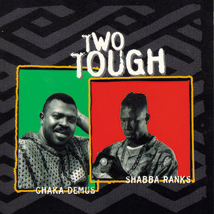 Love Punany Bad by Shabba Ranks