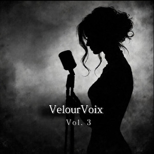 VelourVoix - Un Regard, Et Tout A Changé