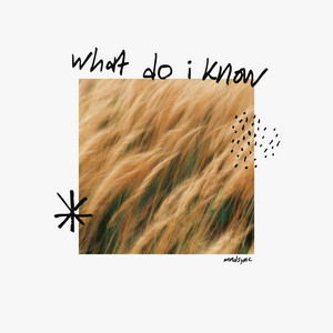 What Do I Know by MNDsync
