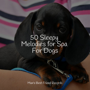 50 Sleepy Melodies for Spa For Dogs album