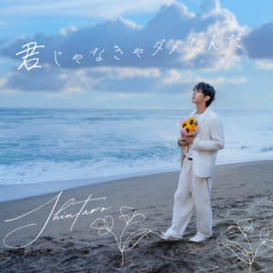 Shintarou - Kimi Janakya Dame Nanda