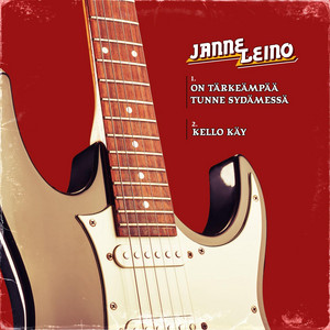 On tärkeämpää tunne sydämmessä by Janne Leino