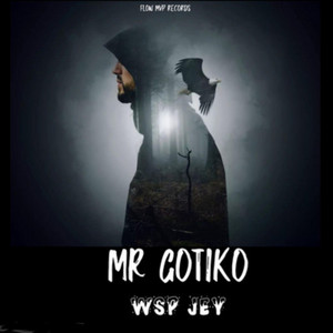 Mr Gotiko by Wsp Jey