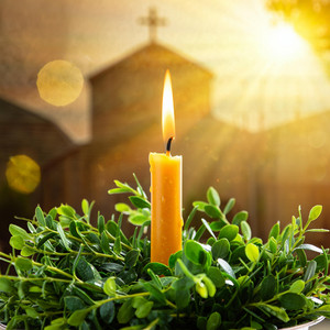 ninisjgufi - Bzoba / ბზობა