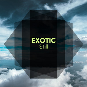 # 1 Album: Exotic Still album
