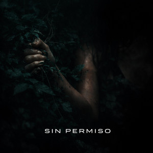 Sin Permiso by ashtar.me