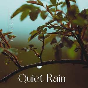 Quiet Rain