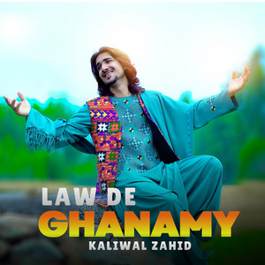 Kaliwal Zahid - Law De Ghanamy