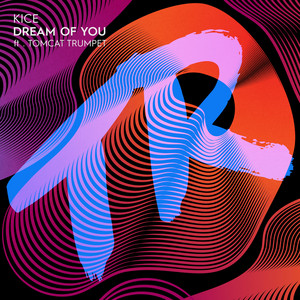 Dream of You (feat. TomCat Trumpet) [Extended Mix]