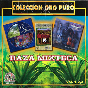 Raza Mixteca - Na Sii Lo'o Ndavi'i