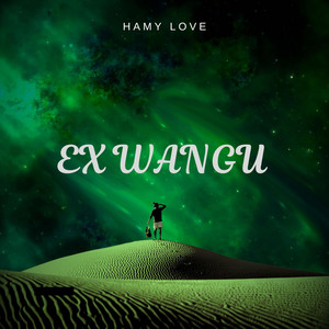 Hamy Love - Ex wangu