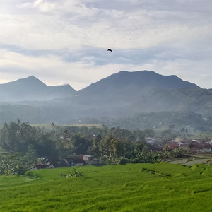 Missing wind by Suphatcha Phongphanna Muliantara