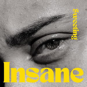 Insane by Sweeting