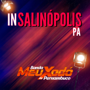 Banda Meu Xodó De Pernambuco - Sentimentos Puros (Ao Vivo)